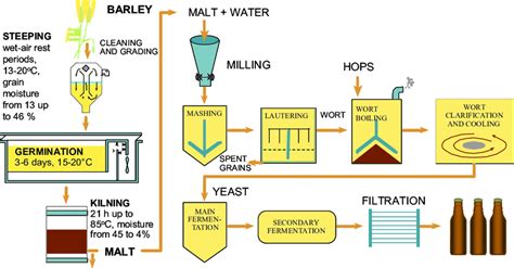 malted barley brewing process.